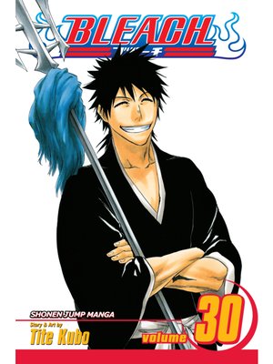 cover image of Bleach, Volume 30